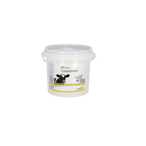 Dodatek do siary Globigen Colostrum, EW Nutrition, 1kg