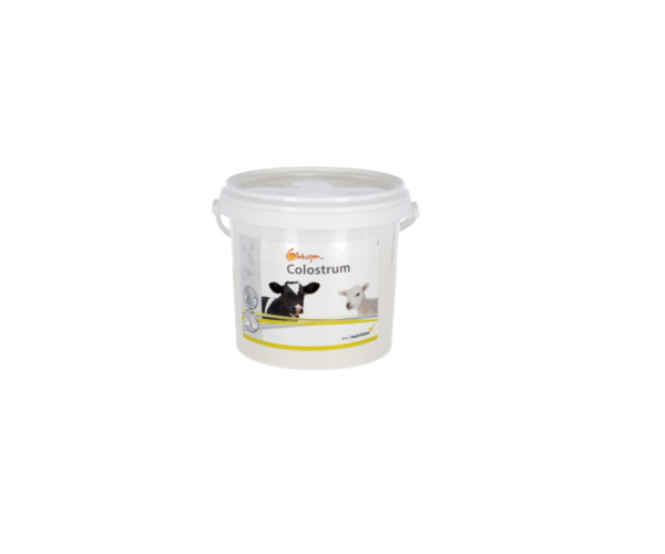 Dodatek do siary Globigen Colostrum, EW Nutrition, 1kg